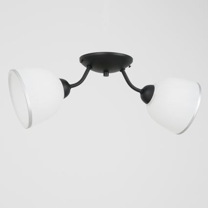 Stropní svítidlo AVIA 2xE27/60W/230V