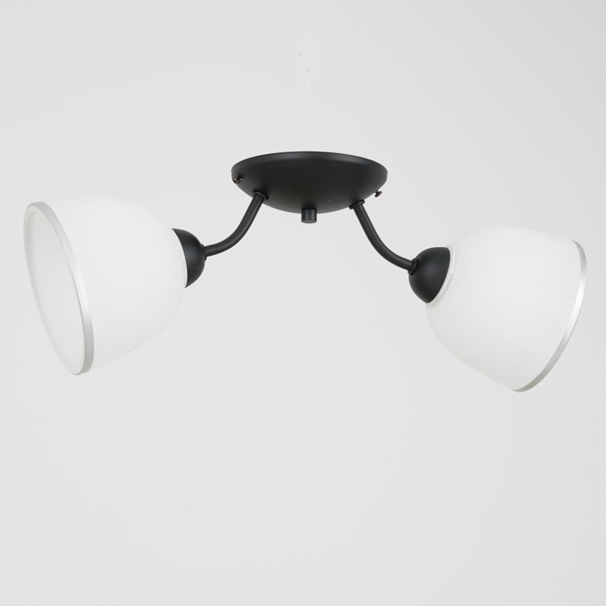 Stropní svítidlo AVIA 2xE27/60W/230V