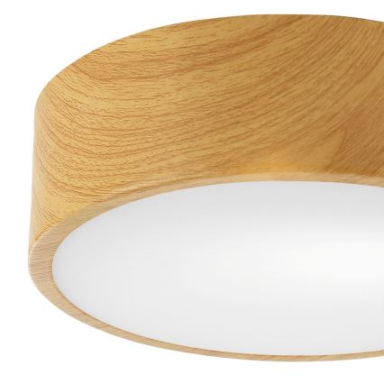 Stropní svítidlo DANTE 1xE27/60W/230V pr. 26 cm