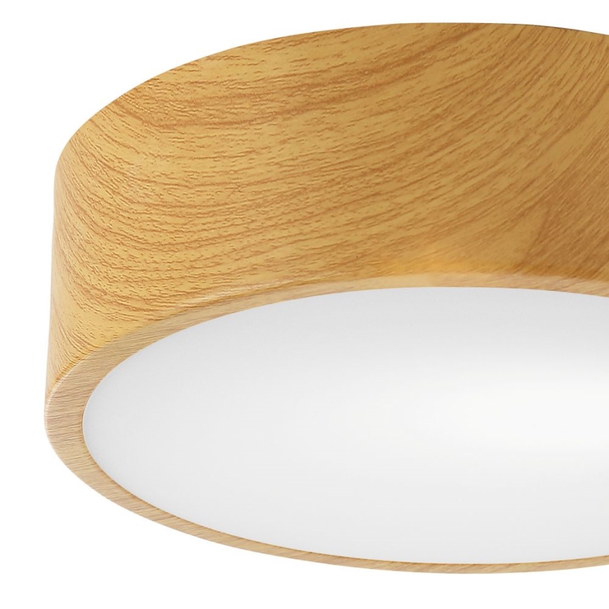 Stropní svítidlo DANTE 1xE27/60W/230V pr. 26 cm