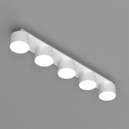 Stropní svítidlo DIXIE 5xGX53/11W/230V bílá