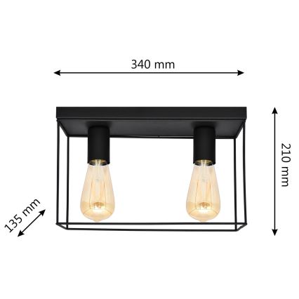 Stropní svítidlo FINN 2xE27/15W/230V černá