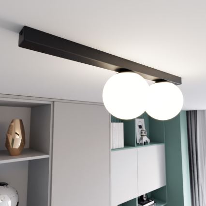 Stropní svítidlo FIT 2xE14/10W/230V černá/bílá