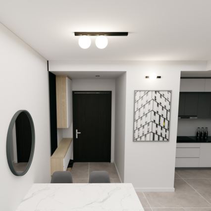 Stropní svítidlo FIT 2xE14/10W/230V černá/bílá