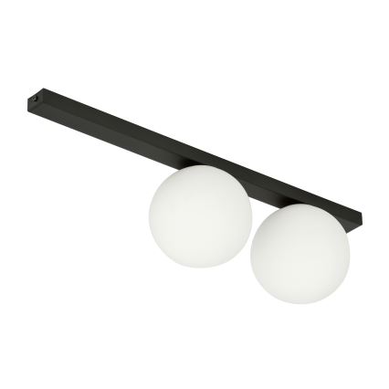 Stropní svítidlo FIT 2xE14/10W/230V černá/bílá