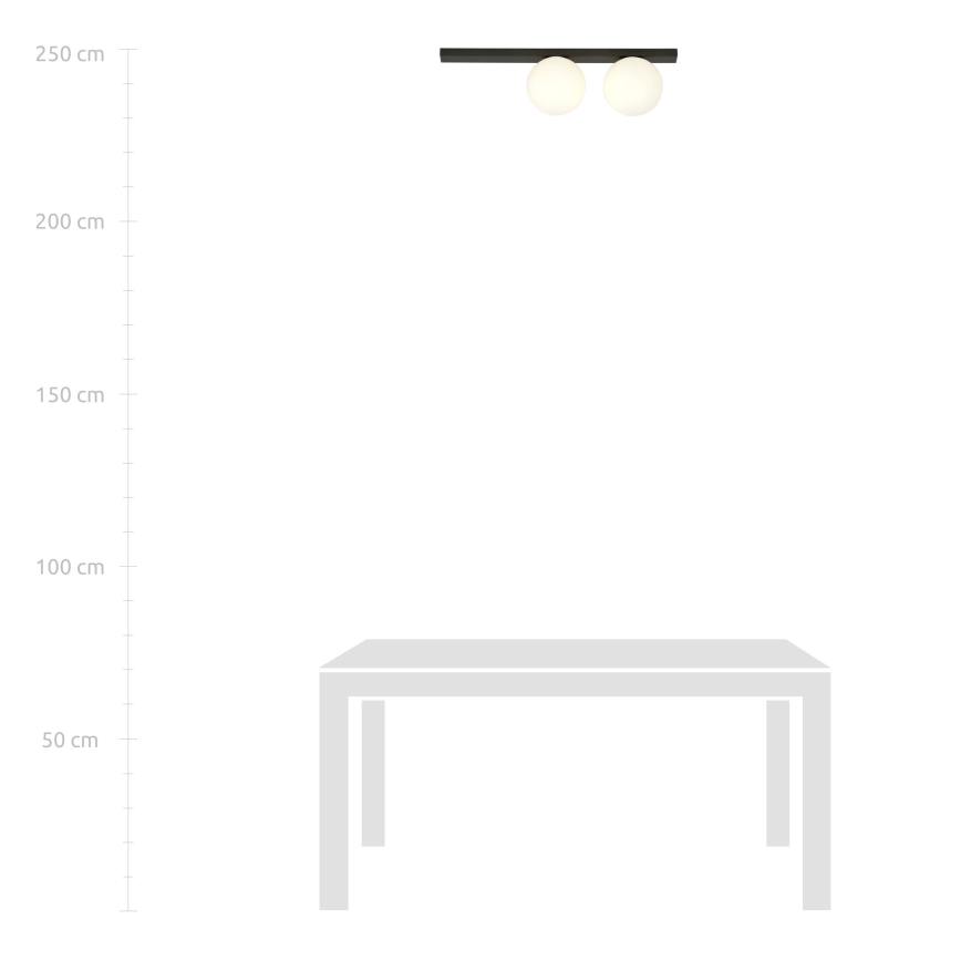 Stropní svítidlo FIT 2xE14/10W/230V černá/bílá