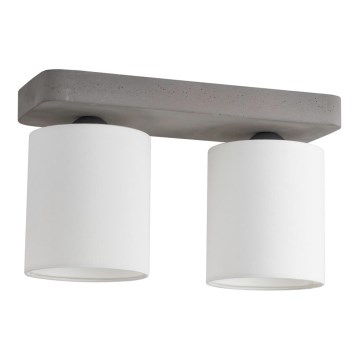 Stropní svítidlo GENTLE 2xE27/25W/230V