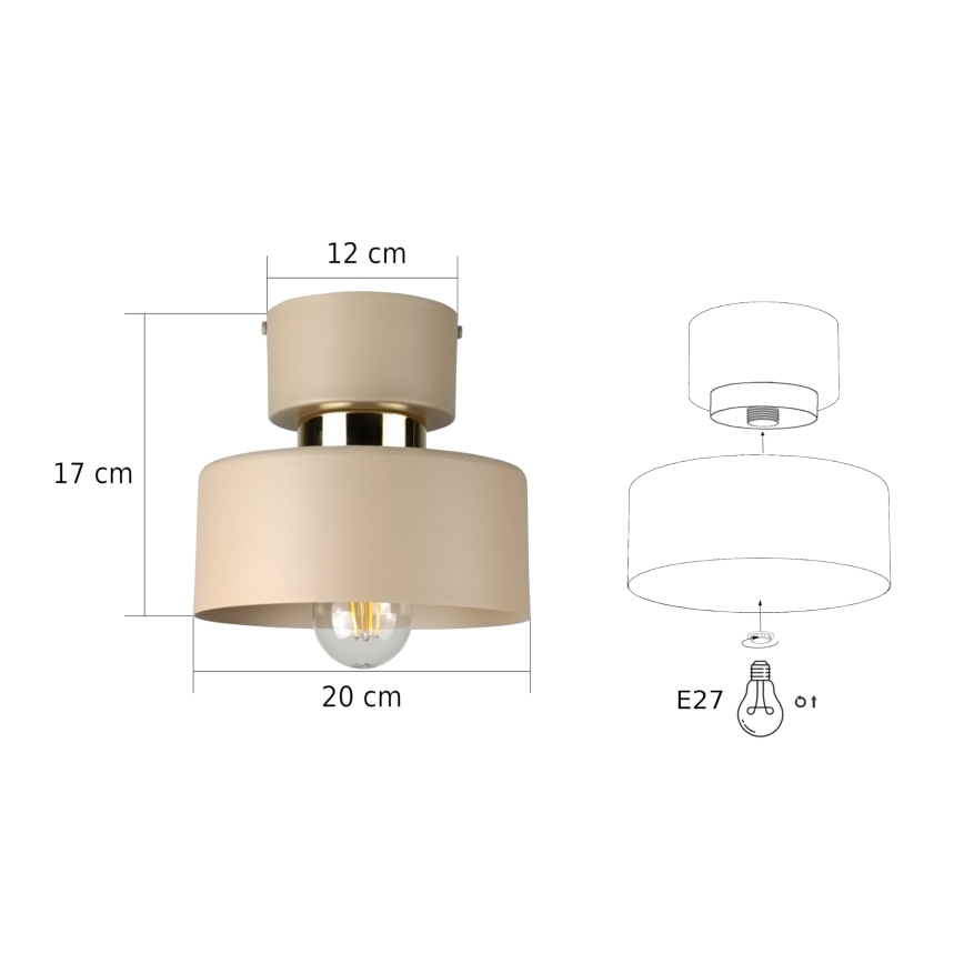 Stropní svítidlo IGNIA 1xE27/60W/230V béžová