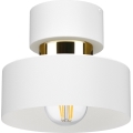 Stropní svítidlo IGNIA 1xE27/60W/230V bílá