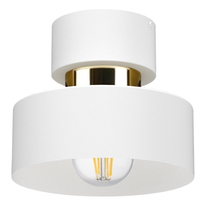 Stropní svítidlo IGNIA 1xE27/60W/230V bílá