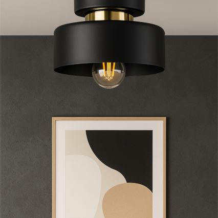 Stropní svítidlo IGNIA 1xE27/60W/230V černá