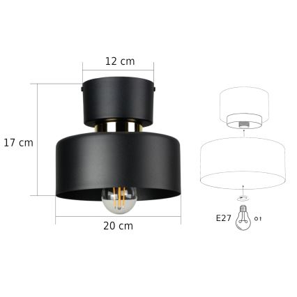 Stropní svítidlo IGNIA 1xE27/60W/230V černá