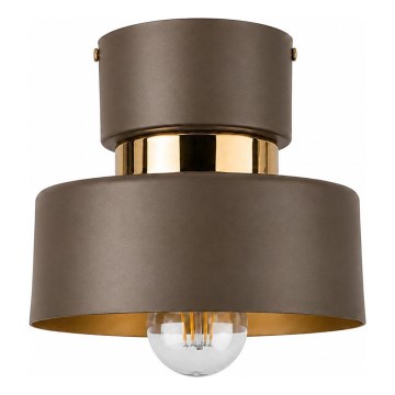 Stropní svítidlo IGNIA 1xE27/60W/230V hnědá/zlatá
