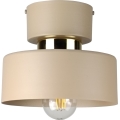 Stropní svítidlo IGNIA 1xE27/60W/230V taupe