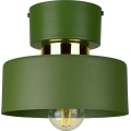 Stropní svítidlo IGNIA 1xE27/60W/230V zelená