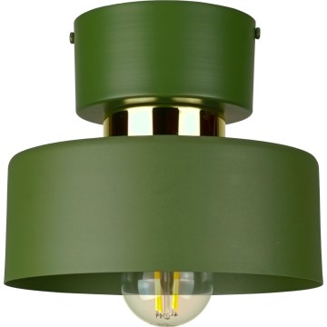Stropní svítidlo IGNIA 1xE27/60W/230V zelená
