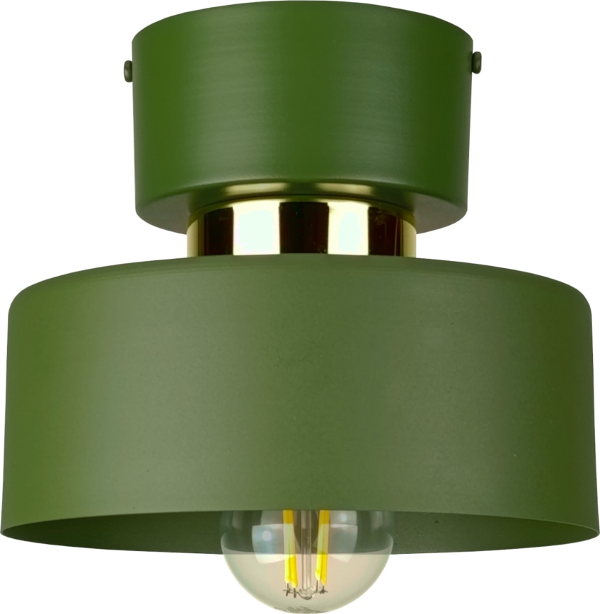 Stropní svítidlo IGNIA 1xE27/60W/230V zelená
