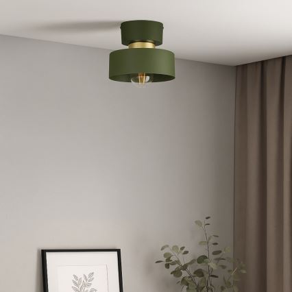 Stropní svítidlo IGNIA 1xE27/60W/230V zelená