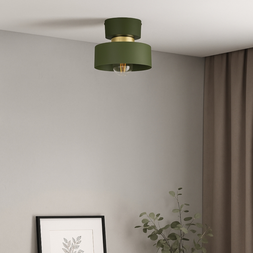 Stropní svítidlo IGNIA 1xE27/60W/230V zelená
