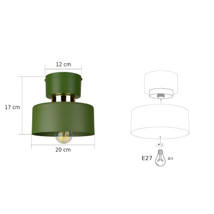 Stropní svítidlo IGNIA 1xE27/60W/230V zelená