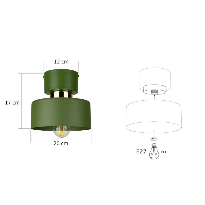 Stropní svítidlo IGNIA 1xE27/60W/230V zelená