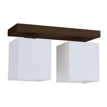 Stropní svítidlo INGER 2xE27/25W/230V