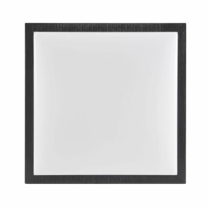 Stropní svítidlo KAZIMIERZ 2xE27/20W/230V 29,5x29,5 cm černá