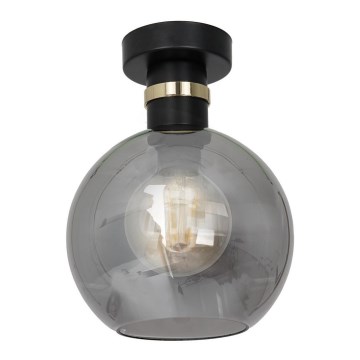Stropní svítidlo OMEGA 1xE27/60W/230V