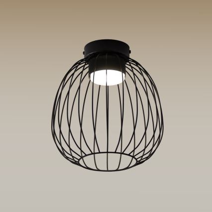 Stropní svítidlo OVELLA 1xGX53/10W/230V pr. 25 cm černá