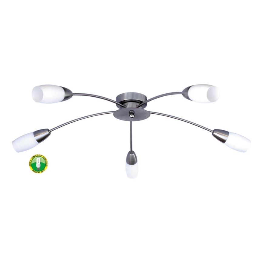 Stropní svítidlo PROXI PLUS 5xE14/9W/230V