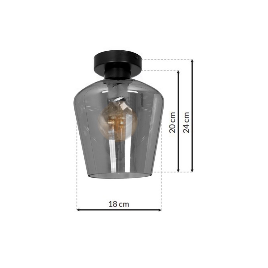 Stropní svítidlo SANTIAGO 1xE27/60W/230V černá