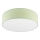 Stropní svítidlo SIRJA PASTEL 2xE27/15W/230V pr. 45 cm zelená