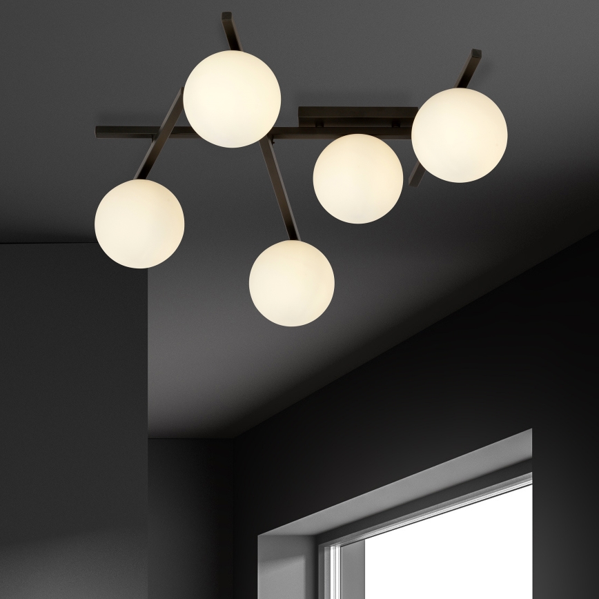 Stropní svítidlo SMART 5xE14/10W/230V černá/bílá