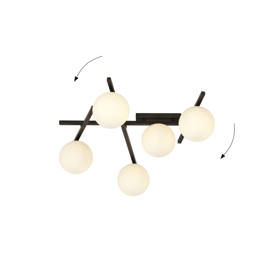 Stropní svítidlo SMART 5xE14/10W/230V černá/bílá