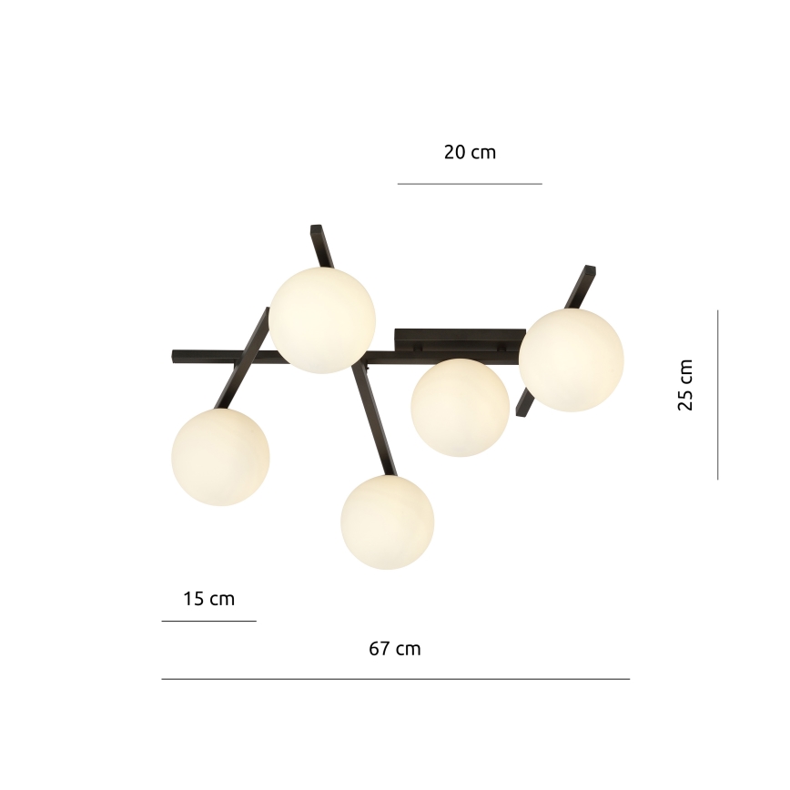 Stropní svítidlo SMART 5xE14/10W/230V černá/bílá