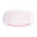Stropní svítidlo STRIPES 2xE27/40W/230V pr. 55 cm bílá/růžová