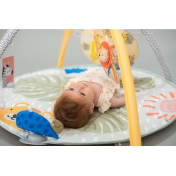 Taf Toys - Dětská hrací podložka s hrazdou savana