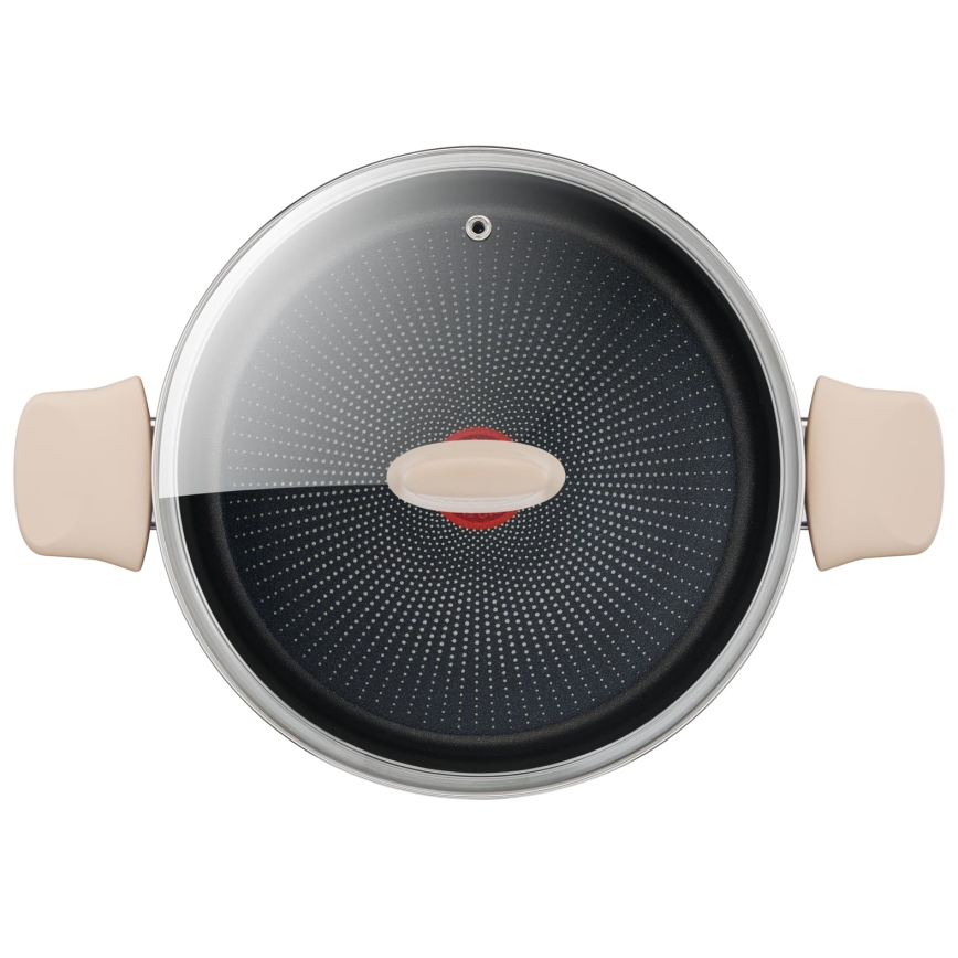Tefal - Hrnec s poklicí RESPECT pr. 24 cm