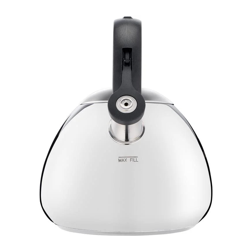 Tefal - Konvice na indukci 2,7 l nerez