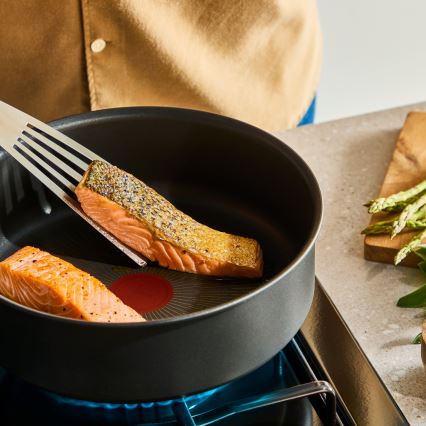 Tefal - Pánev INGENIO Excellence Fusion 24 cm
