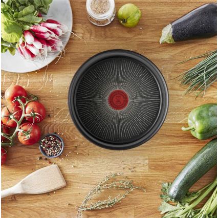 Tefal - Pánev INGENIO Unlimited 24 cm