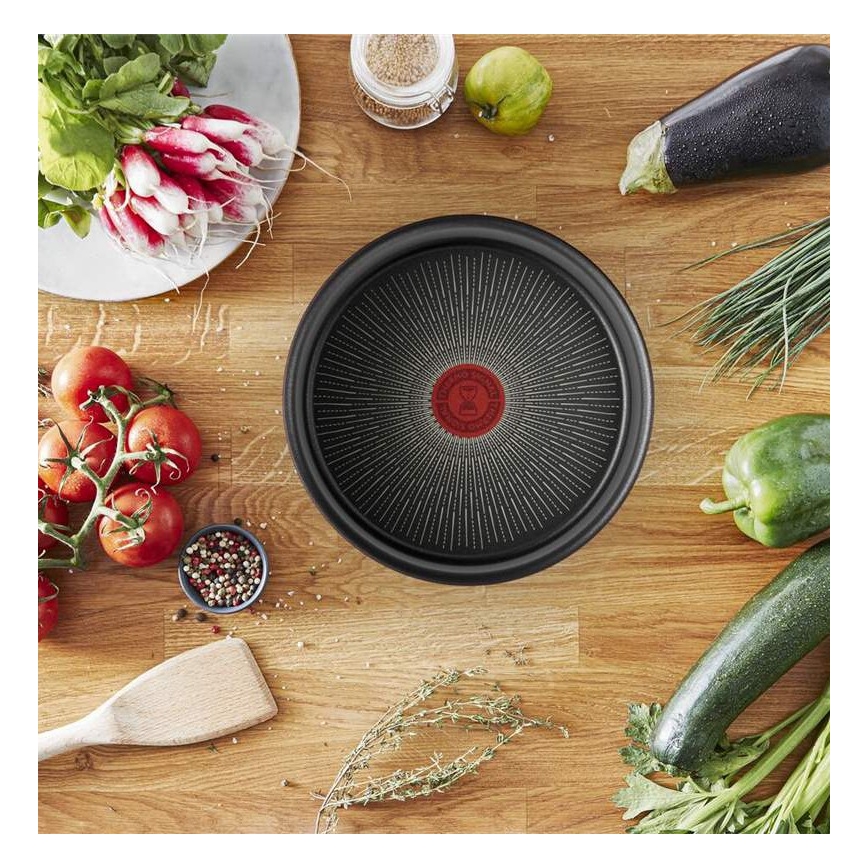 Tefal - Pánev INGENIO Unlimited 24 cm