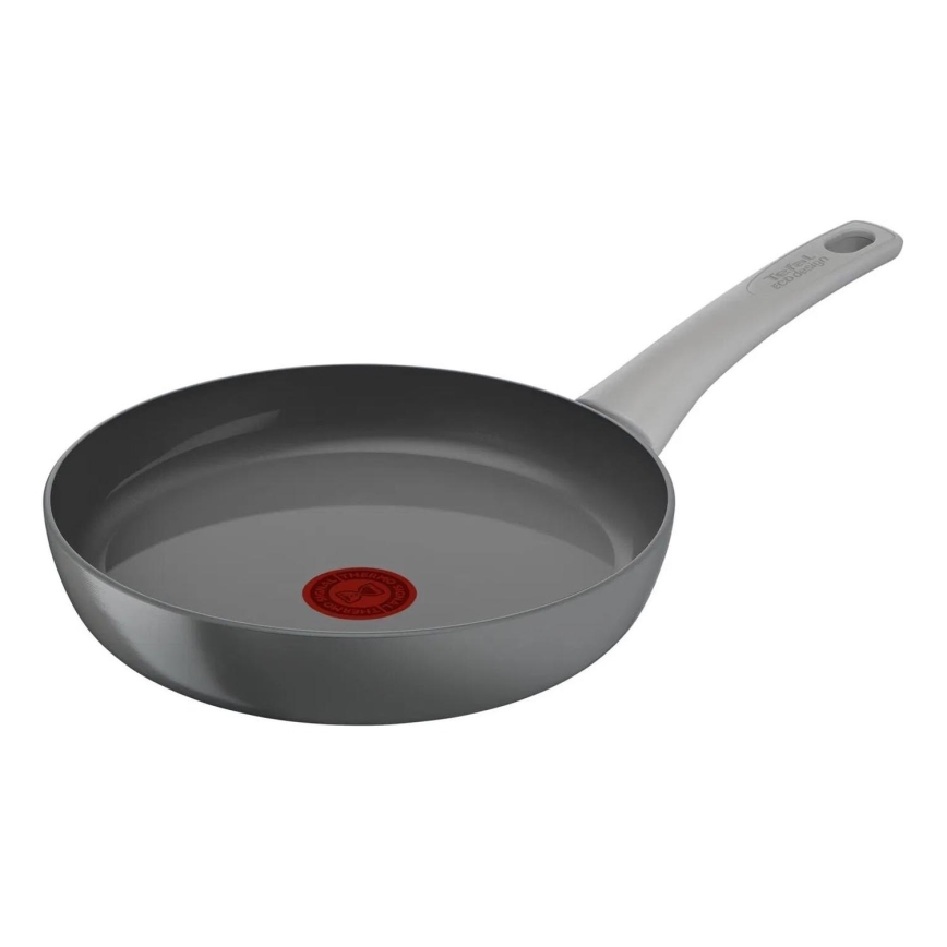 Tefal - Pánev RENEW ON 24 cm