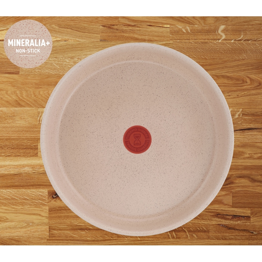 Tefal - Sada nádobí 17 ks INGENIO DELIGHT
