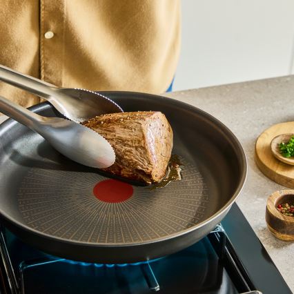 Tefal - Sada nádobí INGENIO Excellence Fusion 11 ks