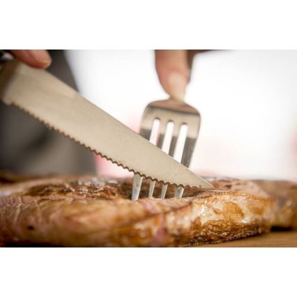 Tefal - Sada nerezových nožů na steak ICE FORCE 11 cm lesklý chrom/černá 4 ks