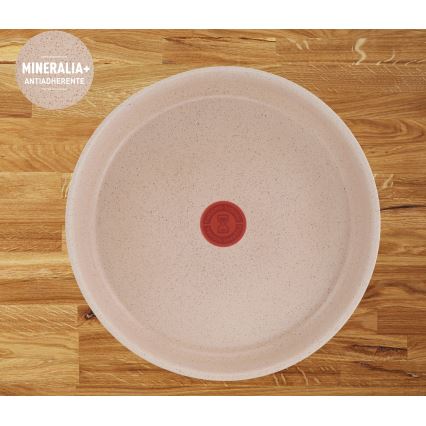 Tefal - Sada pánví 3 ks INGENIO DELIGHT