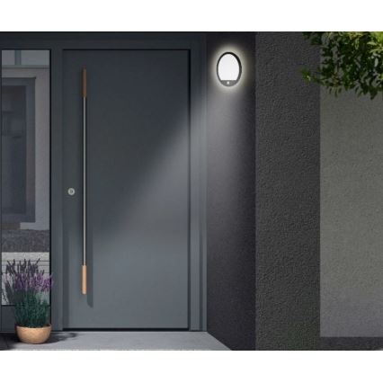 Telefunken 313705TF - LED Venkovní nástěnné svítidlo se senzorem LED/15W/230V IP44