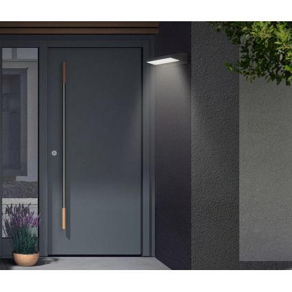 Telefunken - LED Venkovní nástěnné svítidlo LED/10W/230V IP44 černá