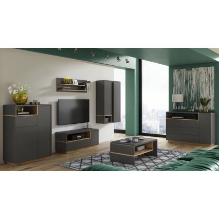 Televizní stolek FRED 120x40 cm antracit/dub artisan